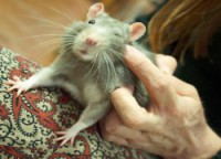 /album/galerie/a229816-10151246022014311-2103906157-n-jpg/