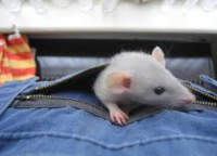 /album/galerie/asd-jpg/